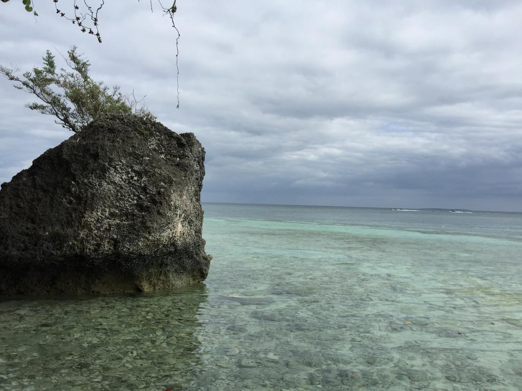 The Whitehouse By The Sea Villa Panglao Exterior foto