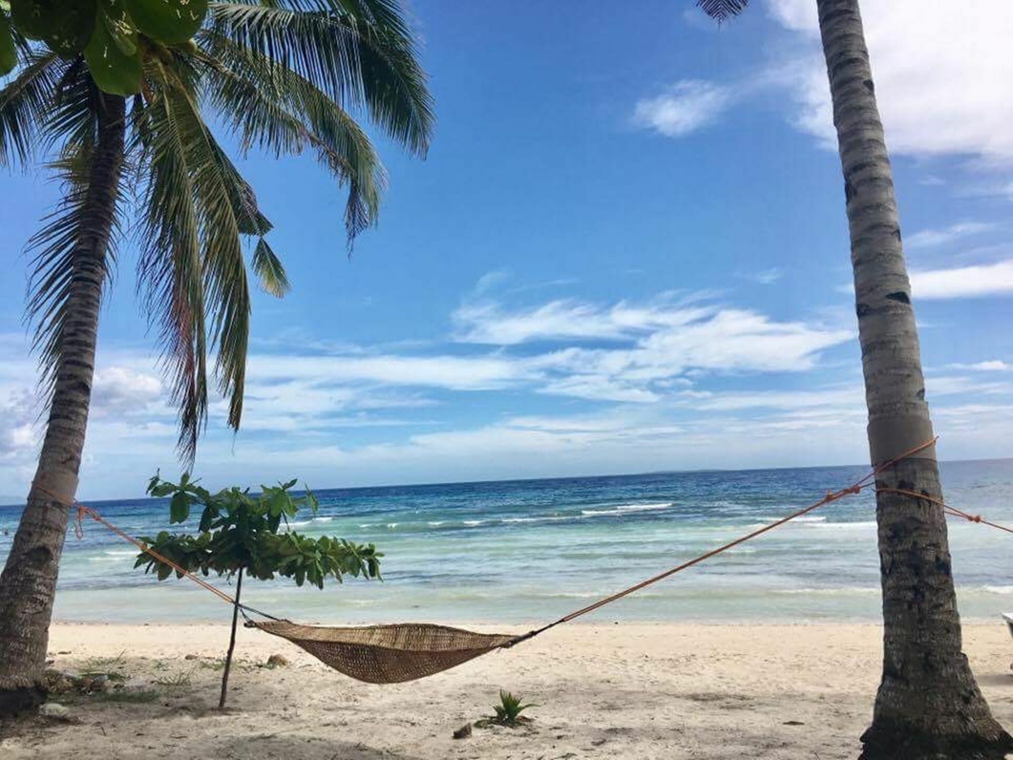 The Whitehouse By The Sea Villa Panglao Exterior foto